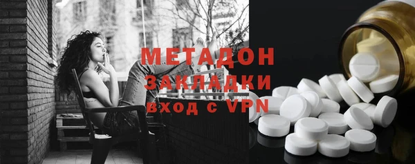 гашик Алексин