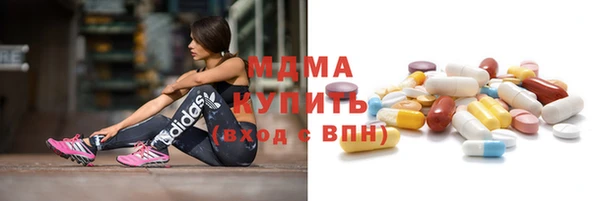гашик Алексин
