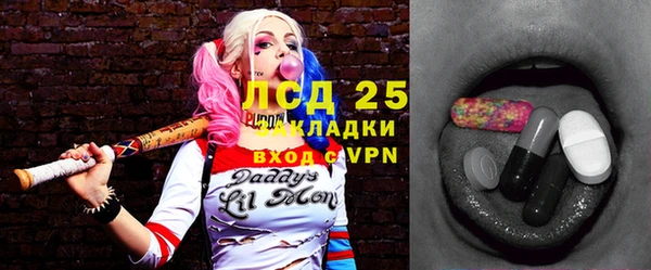гашик Алексин