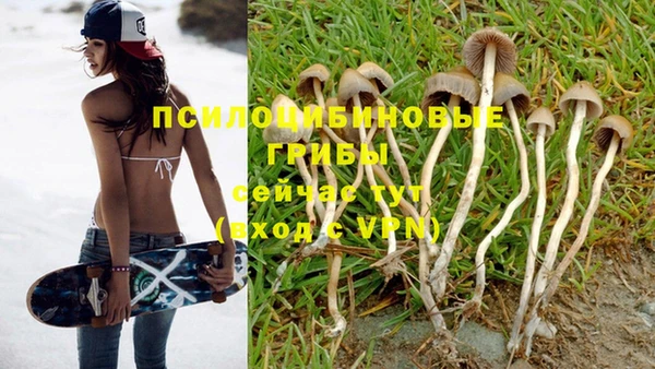 эйфоретик Алексеевка