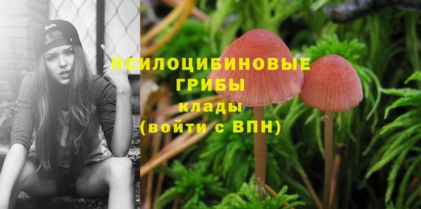 mdpv Алзамай