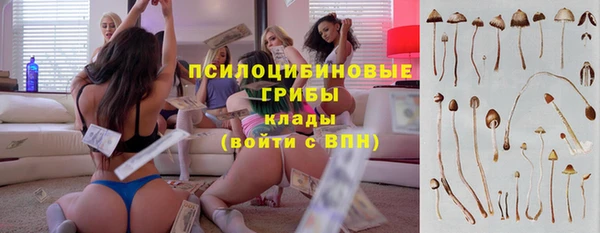 mdpv Алзамай