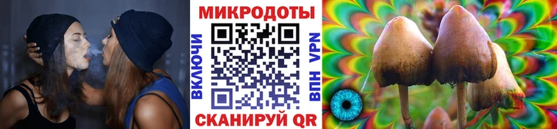 купить   Ревда  МЕГА ССЫЛКА  Псилоцибиновые грибы Psilocybe 